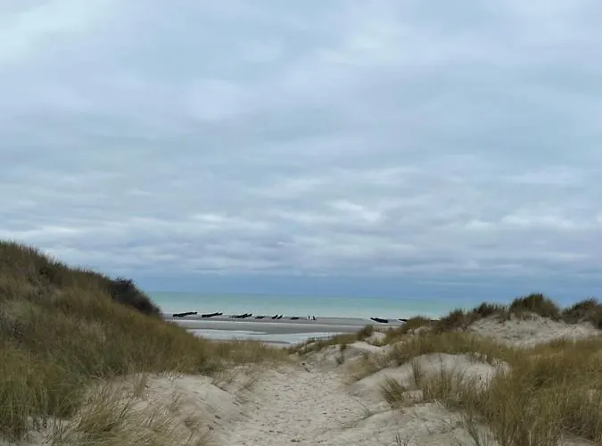 La Manufacture Du Sable